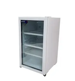 یخچال هتلی و کافی شاپ