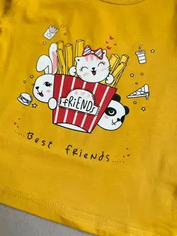 تیشرت وارداتی فرندز