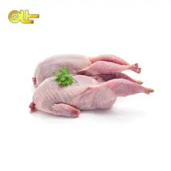 گوشت بلدرچین تازه 300 گرمی