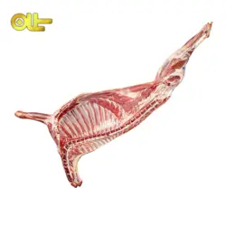 شقه تازه گوسفندی دولتی کیلویی