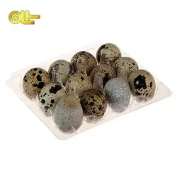 تخم بلدرچین ۱۲ عددی