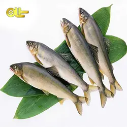 ماهی منجمد حسون کیلویی