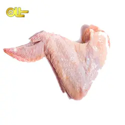 بال مرغ كيلويي