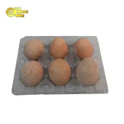 تخم کبک ۶ عددی