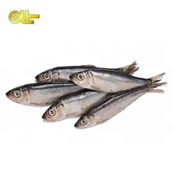 ماهی منجمد کیلکا ۵۰۰ گرمی