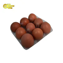 تخم مرغ محلی ۹ عددی