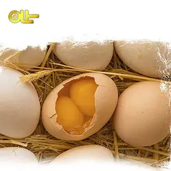 تخم مرغ محلی دوزرده ۶ عددی