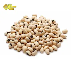 لوبيا چشم بلبلي اعلا كيلويي