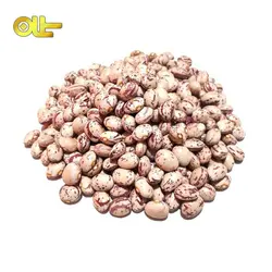 لوبيا چيتي اعلا كيلويي