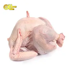 بوقلمون کامل کیلویی