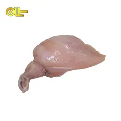 سینه بی اسکلت با کتف تازه مرغ کیلویی