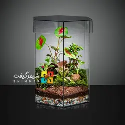 تراریوم 6 ضلعی