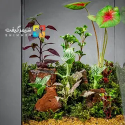 تراریوم 6 ضلعی