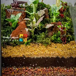 تراریوم 6 ضلعی