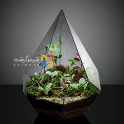 تراریوم الماسی 2 (ایستاده) - سه سایز