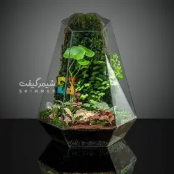 تراریوم بزرگ مدل ویکتوریا خزه دار