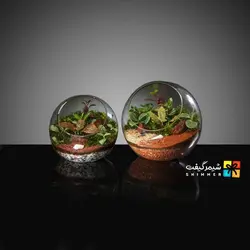 تراریوم کروی توپی