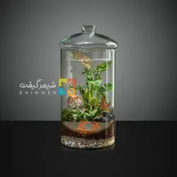 تراریوم مدل استوانه ای درب دار