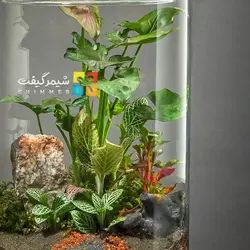 تراریوم مدل استوانه ای درب دار