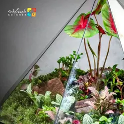 تراریوم مدل الماس