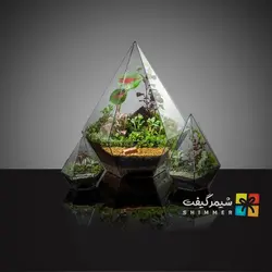 تراریوم مدل الماس مثلث