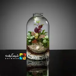 تراریوم مدل راین