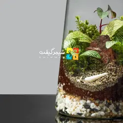 تراریوم مدل فانوس