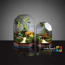 تراریوم مدل مانتیس (4 سایز)