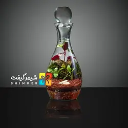 تراریوم مدل فرانسه