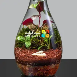 تراریوم مدل فرانسه