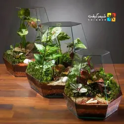 تراریوم مدل ویکتوریا