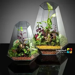 تراریوم مدل ویکتوریا 2