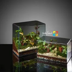 تراریوم مکعبی مدل کتابی