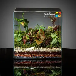 تراریوم مکعبی مدل کتابی