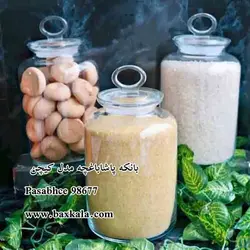 بانکه پاشاباغچه کد 98677 ترکیه
