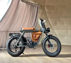 دوچرخه برقی آفرود کاسویل Coswheel CT20