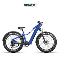 دوچرخه برقی لاستیک پهن Ranger