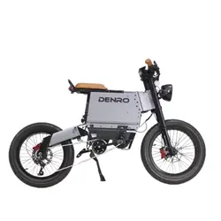 دوچرخه برقی DF1