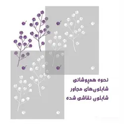 شابلون دیواری گیاه پنبه