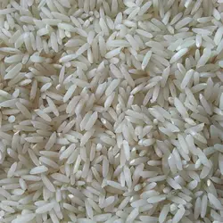 برنج طارم هاشمی درجه یک- 10 کیلویی(ارسال رایگان)