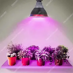 لامپ رشد گیاه فول اسپکتروم 3 وات سرپیچ E27