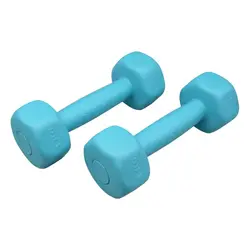 دمبل بدنسازی رادیس فیت مدل 6Sided وزن 1 کیلو گرم بسته دو عددی