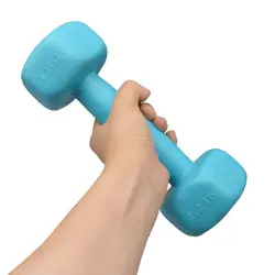 دمبل بدنسازی رادیس فیت مدل 6Sided وزن 1 کیلو گرم بسته دو عددی