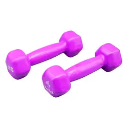 دمبل بدنسازی رکورد مدل Strong روکش دار وزن 1.0 کیلو گرم بسته دو عددی