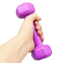 دمبل بدنسازی رکورد مدل Strong روکش دار وزن 1.0 کیلو گرم بسته دو عددی