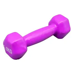 دمبل بدنسازی رکورد مدل Strong روکش دار وزن 1.0 کیلو گرم بسته دو عددی