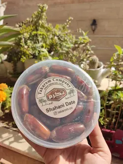 خرما شاهانی تک چین شده سطلی 500 گ
