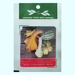 بذر کدو گر ملینز