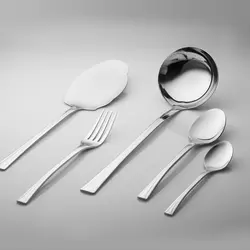 سرویس قاشق و چنگال 20 پارچه هومیت مدل رایا مات