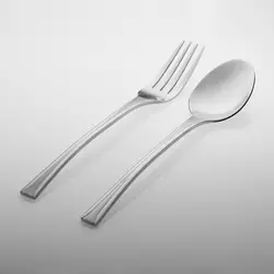 سرویس قاشق و چنگال 20 پارچه هومیت مدل رایا مات